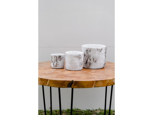 Elm Wood Set 3 Vase | Adorn Charleston