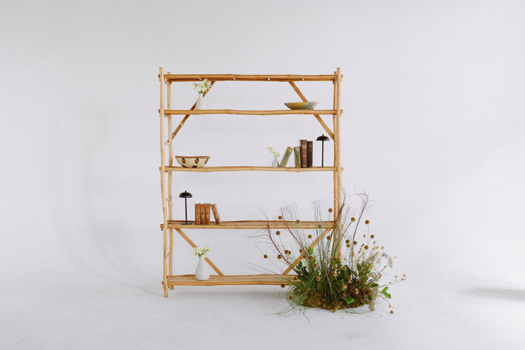 BOOKCASE + BARBACK