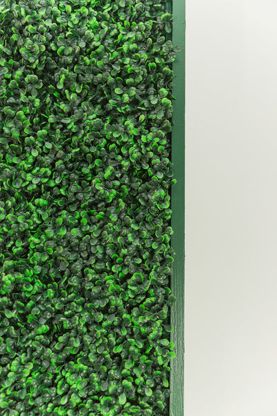 Boxwood Wall