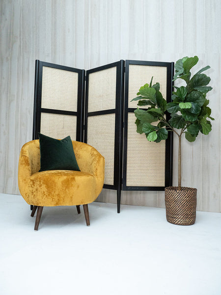 Black + Cane Folding Screen